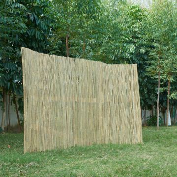 casa.pro Bamboemat Baarle tuinhek op rol 120x500 cm