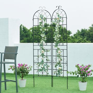 Tuinlatwerk Barrea hekwerk voor klimplanten 220x50 cm set van 2 casa.pro